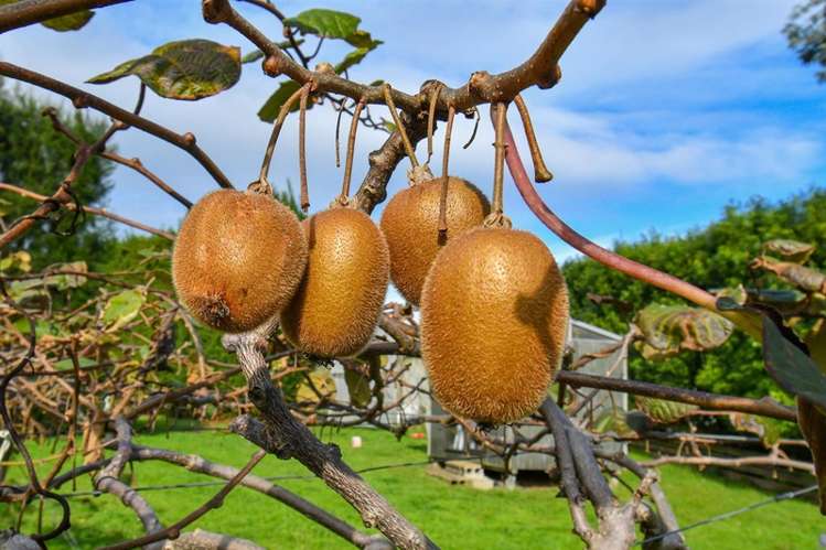 255 Goodwin Road Aka Aka_7