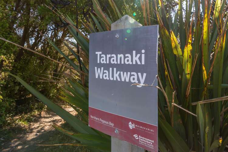 88 Queens Avenue Waikuku Beach_13