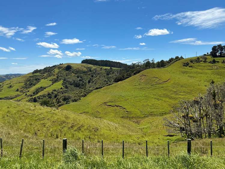 Lot 3 DP539905 Dill Road Kaipara Flats_19