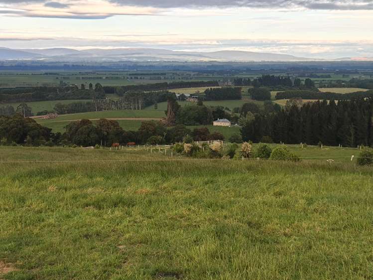 137 Kahikatea Drive Winton_7