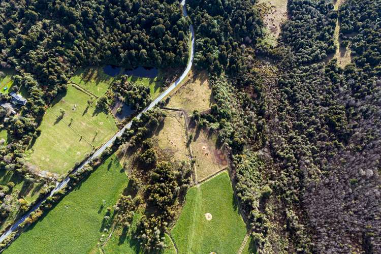 Rangitata Gorge Road Peel Forest_11