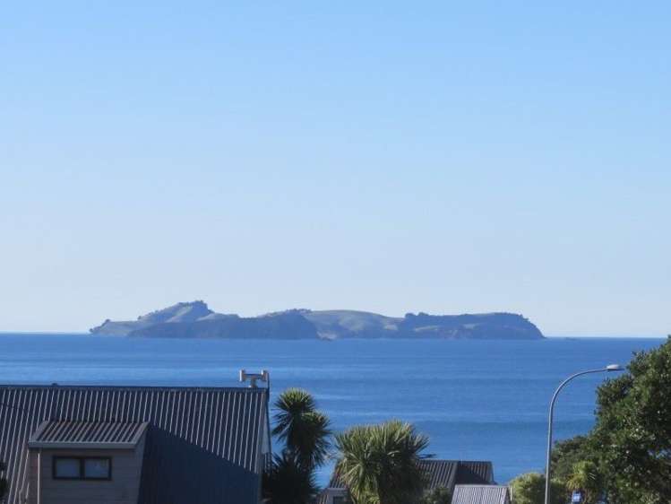 324 Onemana Drive Onemana_16