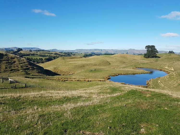 76064 State Highway 2 Rangitikei Surrounds_16