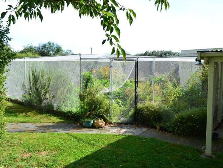 233a Papawai Road Greytown_12