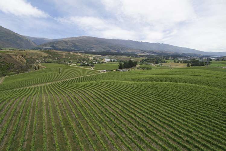 Cairnmuir Road Nevis_7