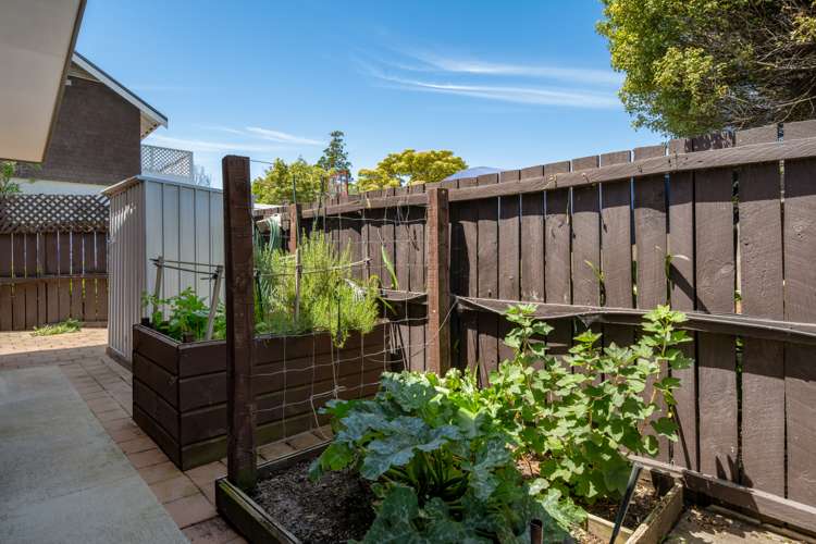 39b Percy Street Blenheim Central_18