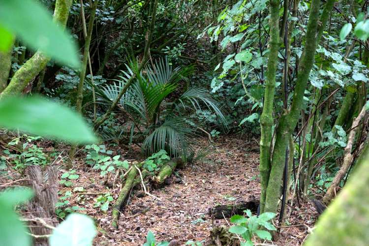 456 Barrett Road Omata_32