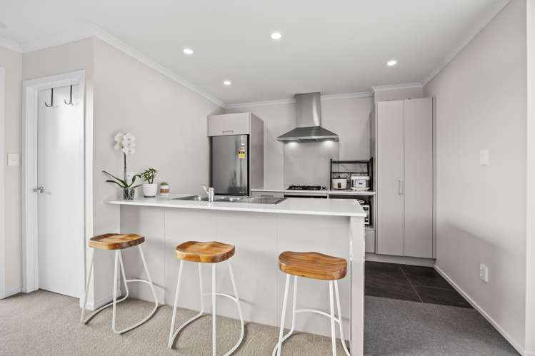 39 Arrowsmith Drive Flat Bush_6