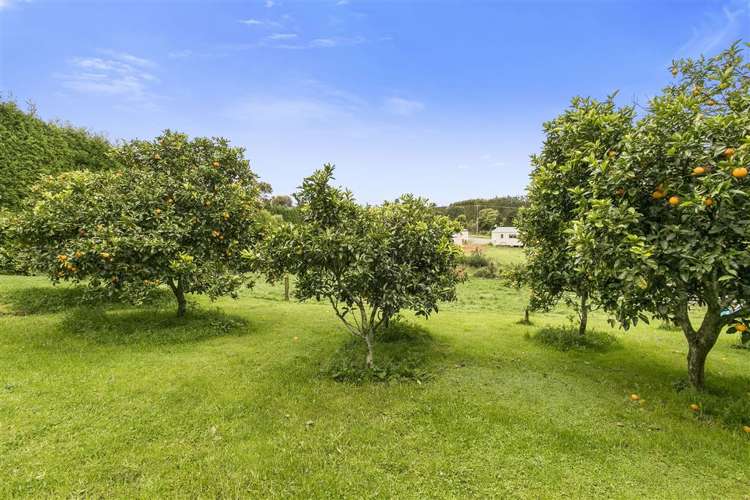 6 Killen Road Hauraki Surrounds_10