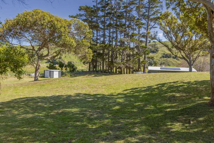 3/33 Pukenui Drive Mahanga_16