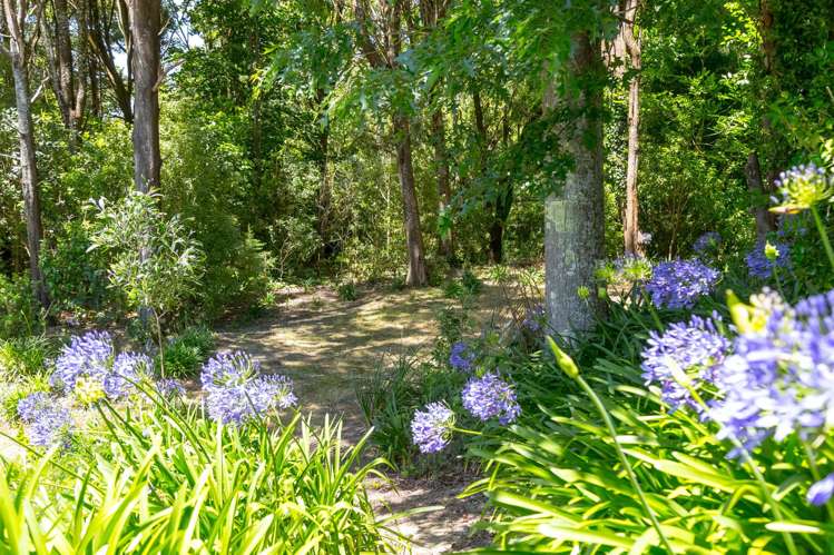 865 Mangamahoe Central Road Masterton_29