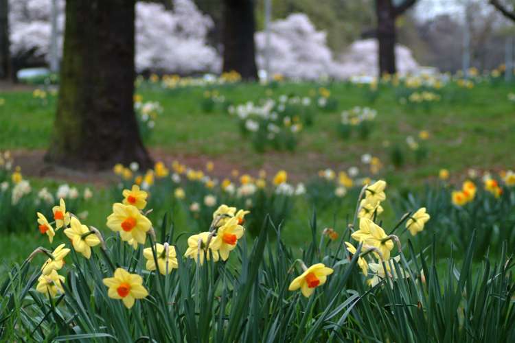 21/15 Peterborough Street Christchurch Central_18