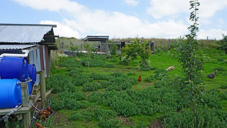 770 Winton Hedgehope Highway Winton Surrounds_17