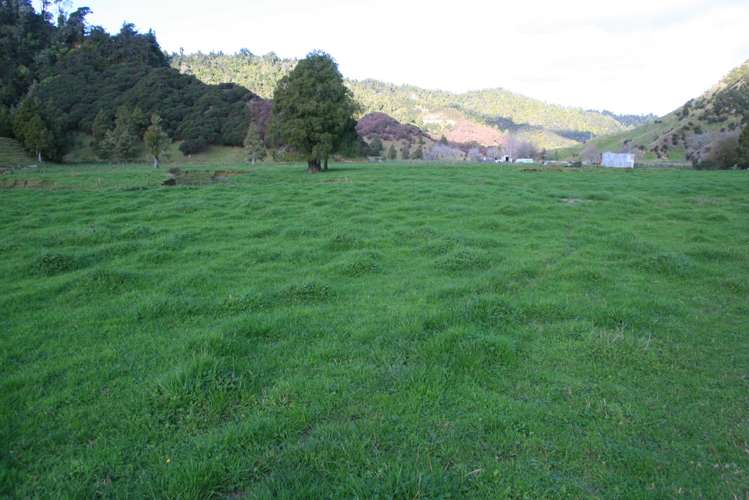 0n Mangaonga Road Ahititi_12