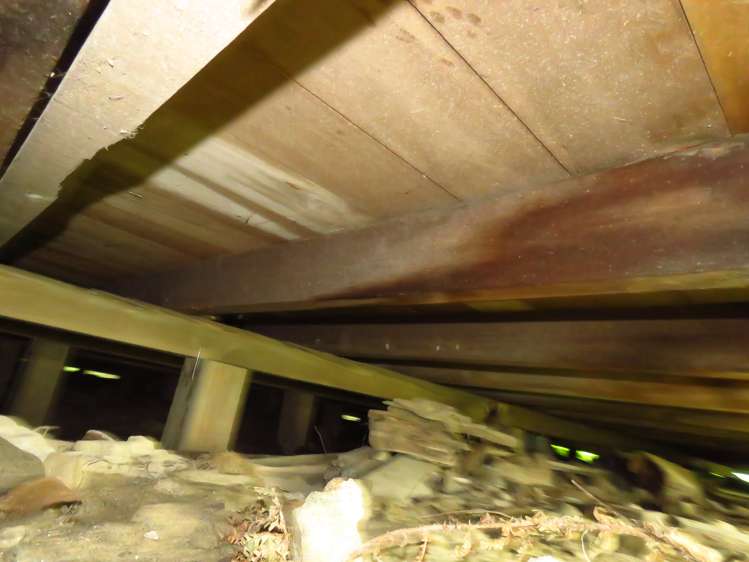 44 Adderley Street Westport_23