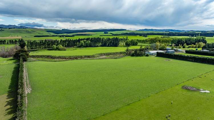 1443 Omihi Road Omihi_6