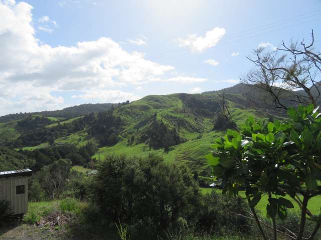 320 Takahue Saddle Road Takahue_1