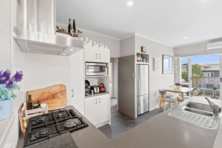 297 Carrington Street Vogeltown_5