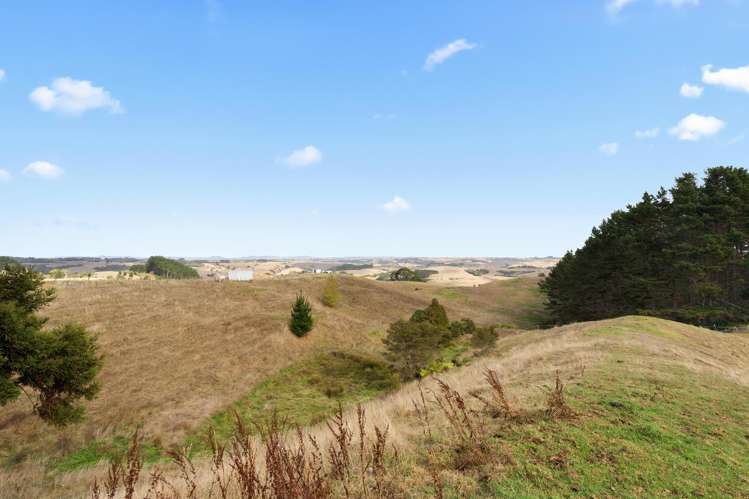 352 Kauri Road Onewhero_21