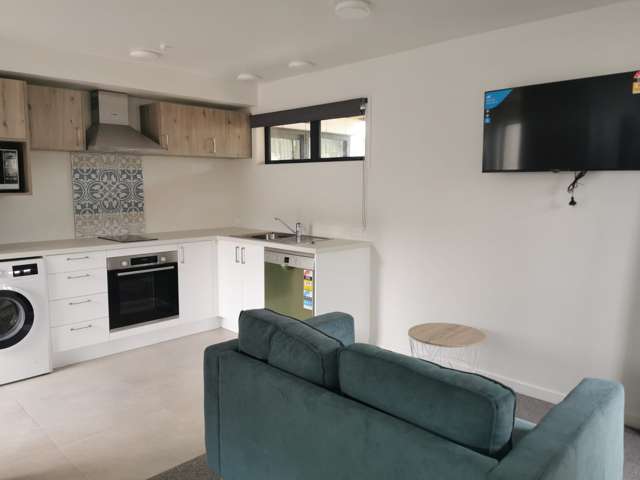 Central City Apartment On Castle - Unit C at 287.