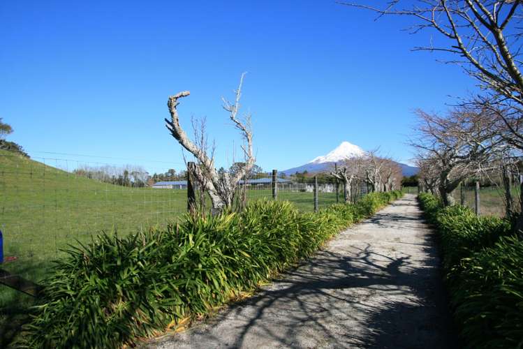 1758 Mountain Road Inglewood_17