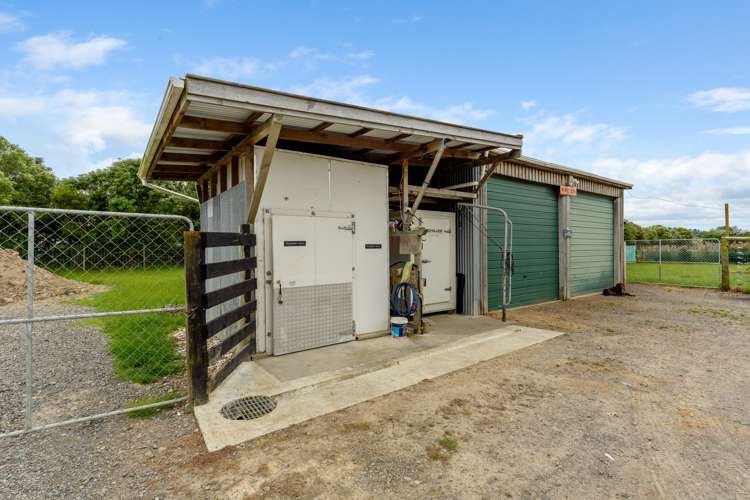 28 Hanlon Road Ashhurst_8