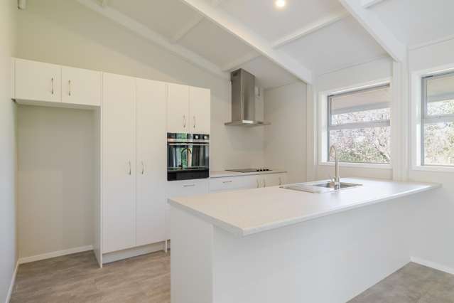 7 Fagan Street Bulls_2