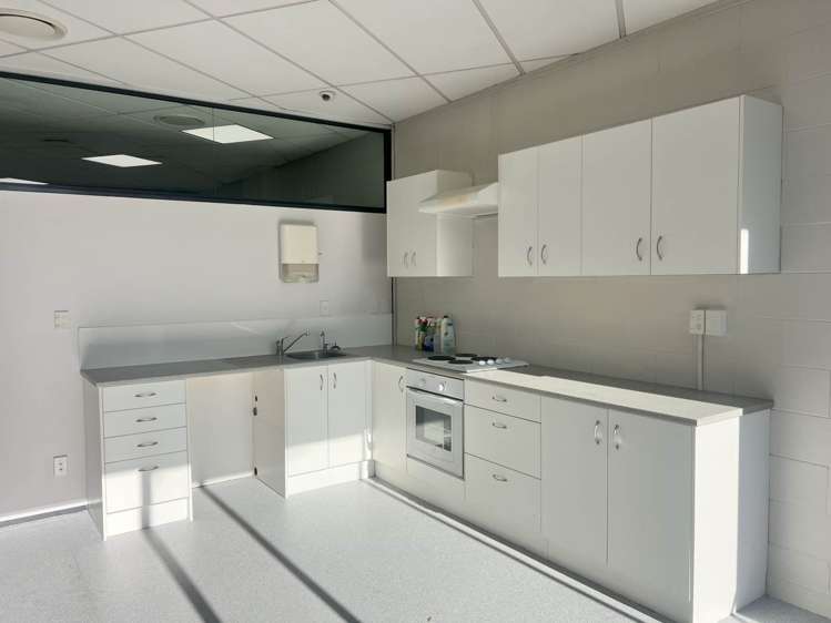 28 Heather Street Parnell_5