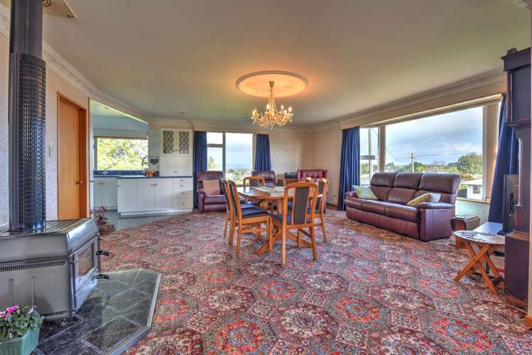 123 Frank Street Gore_5