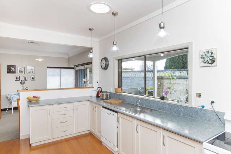 15a Hinaki Street Inner Kaiti_6