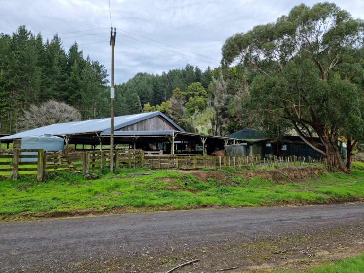 568 Morea Road Hawera_16