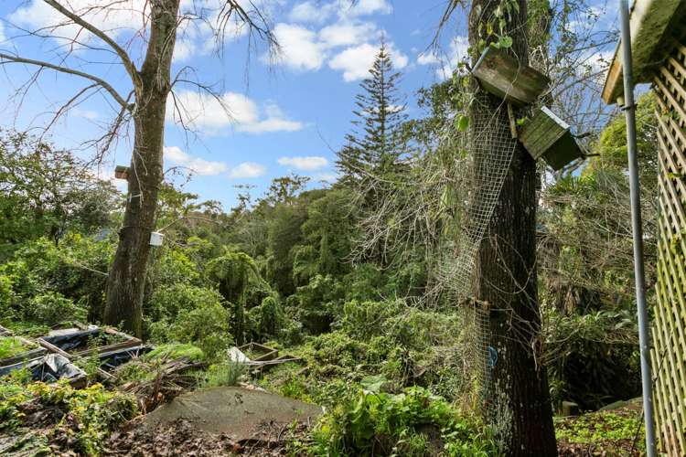 57 Meadowbank Road Meadowbank_19