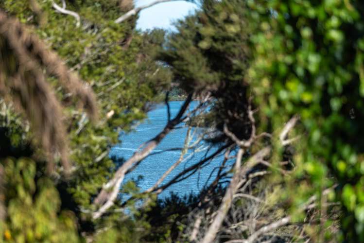 7 Hotspur Place Bayview_20