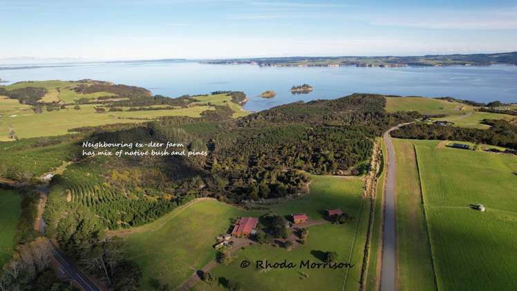 986 Tinopai Road Matakohe_65