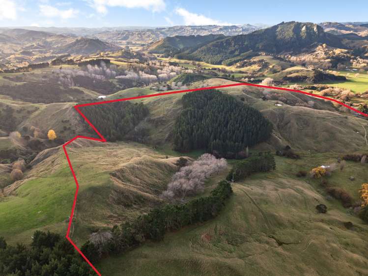 5 Manawa Road Tinui_6