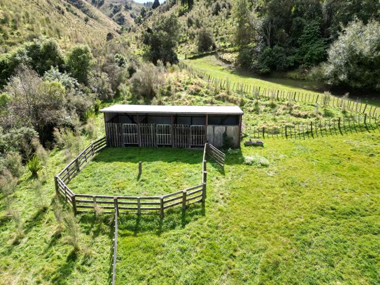 369 Makopua Road Taihape_19