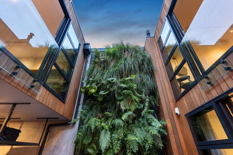 66a Grafton Road Grafton_21