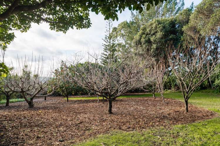 B/27 Cavalli View Road Kaeo_31