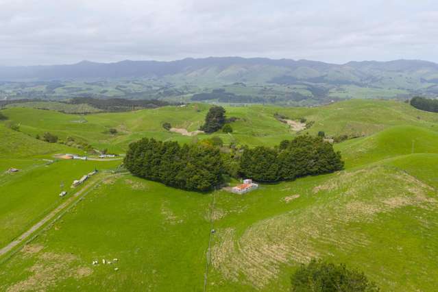 137 Zigzag Road Pohangina Valley_2