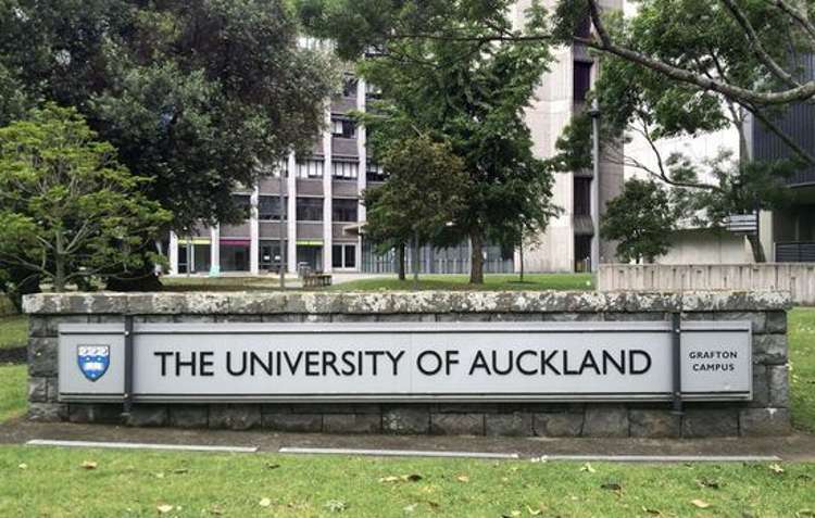 1213/23 Whitaker Place Grafton_12