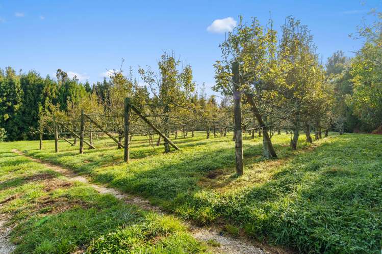 1658 Oropi Road Oropi_34