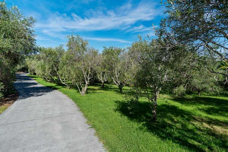 70 Walu Lane Matapouri_33