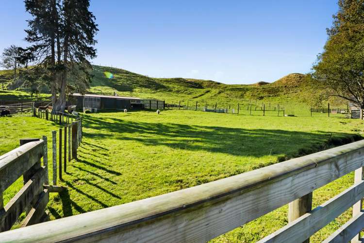 14 Hu Road Rawhitiroa_31