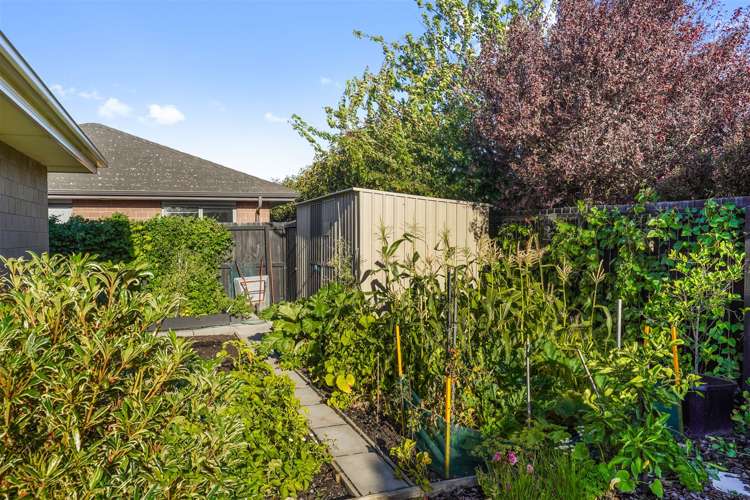 3 Aua Street Lincoln_19