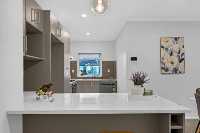 28 Arranmore Drive Flat Bush_4