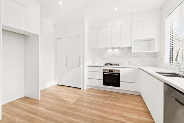 9 Serpent Road Flat Bush_4