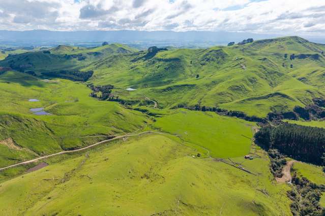 558 Pukeatua Road Dannevirke_1