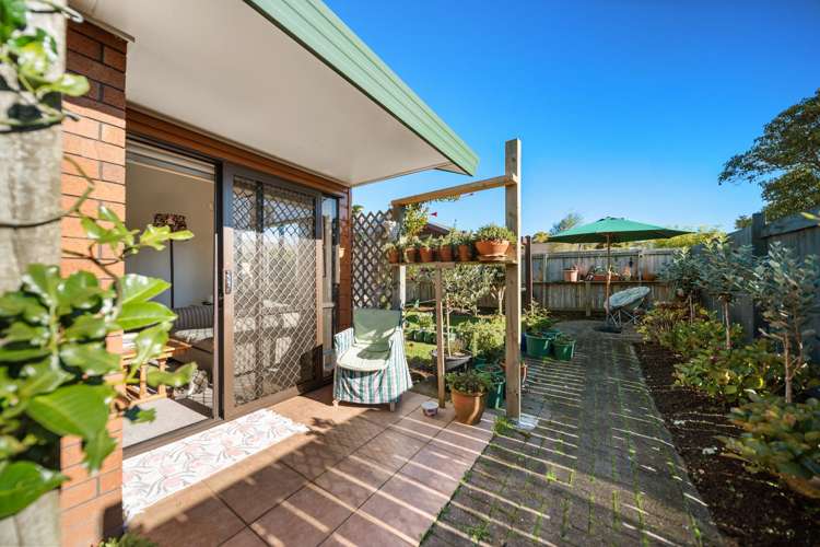 33/151 Kitchener Road_2