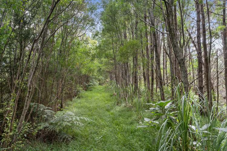 15 Waiparera Road Parua Bay_9