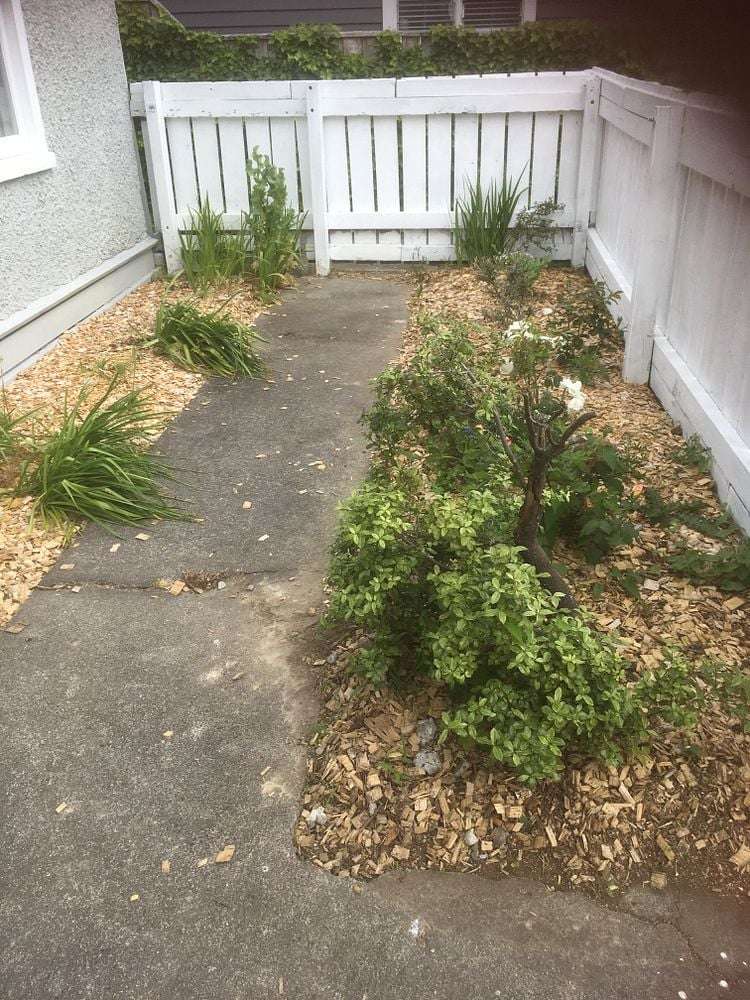 14A Freyberg Street Roslyn_16